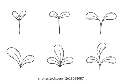 Spross mit abgerundeten Blättern Linie Illustration Set. Design-Elemente für Sämling und Pflanzung. Isolierte Vektorbilder