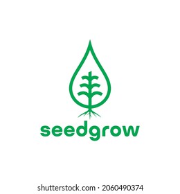 Sprout Seed Grow Logowater Drop Vector Stock Vector (Royalty Free ...