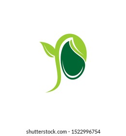 sprout and seed logo designs