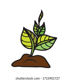 Sprout aus einer Samen .Vektorillustration Botanische Kunst. Ein isoliertes Element der Abbildung.