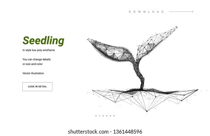 Sprout or seedling. Concept for a startup or start a new life. Abstract illustration isolated on white background. Low poly wireframe. Particles are connected in a geometric silhouette