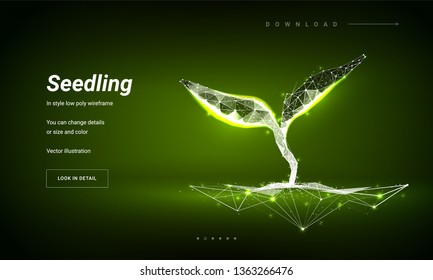 Sprout or seedling. Concept for a startup or start a new life. Abstract illustration isolated on green background. Low poly wireframe. Particles are connected in a geometric silhouette