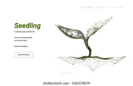 Sprout or seedling. Concept for a startup or start a new life. Abstract illustration isolated on white background. Low poly wireframe. Particles are connected in a geometric silhouette