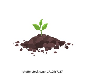 Sprout seedling shoot germination in the pile dirt soil. Young plant. Growing in the ground. Agricultural spring. Vector.