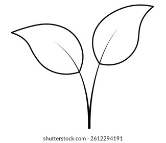 Sprout of seedling. Two branches with leaves. Sketch. Vector illustration. Outline on isolated white background. Doodle style. Seed sprouted into plant. Coloring book for children. 