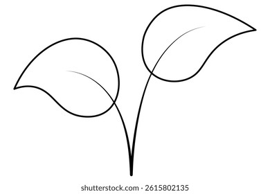 Sprout of seedling. Two branches with leaves. Sketch. Vector illustration. Outline on isolated white background. Doodle style. Seed sprouted into plant. Coloring book for children. Idea for web design
