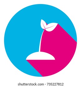 Sprout sign illustration. Vector. Flat white icon with mexican pink shadow inside sky blue(S and G) circle at white background. Isolated. Trend colors in 2017.