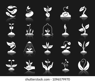 Sprout silhouette icons set. Isolated on black web sign kit of seeds. Plant pictogram collection includes water, care, grass. Simple sprout symbol with reflection. White vector icon shape