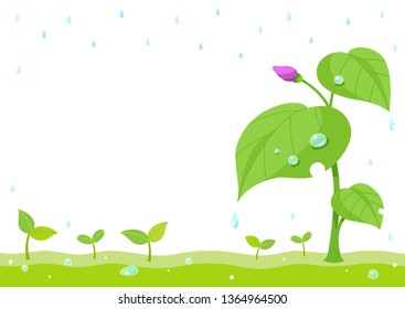 Sprout and spring rainy day background