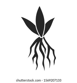Sprout of sugarcane vector icon.Black vector icon isolated on white background sprout of sugarcane .