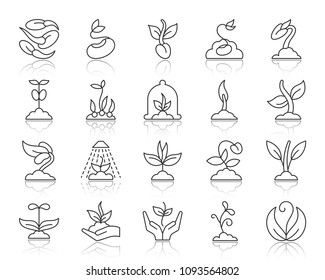 Sprout thin line icons set. Outline web sign kit of seeds. Plant linear icon collection includes seedling, hand, sapling. Simple sprout symbol with reflection. Vector Illustration