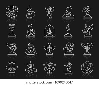 Sprout thin line icons set. Outline web sign kit of seeds. Plant linear icon collection includes flower, grass, tree. Simple organic sprout symbol with reflection. Vector Illustration