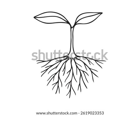 Sprout with two leaves and root. Small plant growing doodle hand drawn icon. Outline drawing sprout with two leaves and roots line clipart symbol. Vector illustration