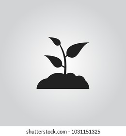 Sprout vector icon