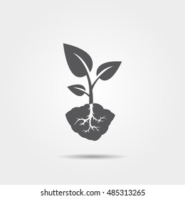 Sprout vector icon