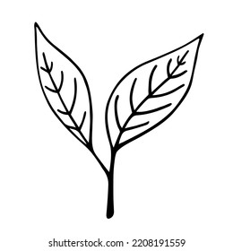 Sprout Vector Icon. Black Doodle Of A Twig With Leaves. Hand Drawn Illustration Isolated On White. A Wild Forest Plant, Tree Branch. Clipart For Cards, Posters, Cosmetics, Logo, Web, Print  