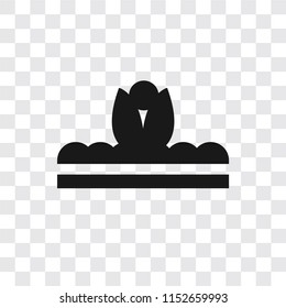 Sprout vector icon isolated on transparent background, Sprout logo concept