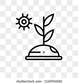 Sprout vector icon isolated on transparent background, Sprout logo concept