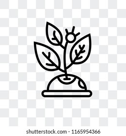 Sprout vector icon isolated on transparent background, Sprout logo concept