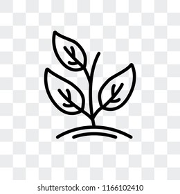 Sprout vector icon isolated on transparent background, Sprout logo concept