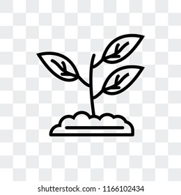 Sprout vector icon isolated on transparent background, Sprout logo concept