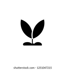 sprout vector icon. sprout sign on white background, for web and app