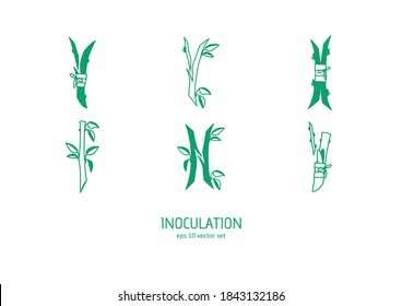 Sprout - conjunto de iconos vectoriales. Símbolo de web, infografía, diseño de impresión y kit de UX/UI móvil. Ilustración del vector, EPS10.