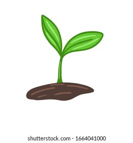 
sprout vector illustration isolated on white background