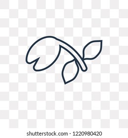 Sprout vector outline icon isolated on transparent background, high quality linear Sprout transparency concept can be used web and mobile