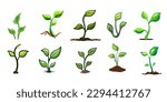 Sprout vector set collection graphic clipart design