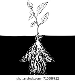 Sprout vector sketch Hand drawn Sprout icon. Sprout sketch with crooked root Arrow up the root potential