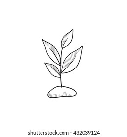 Sprout vector sketch icon isolated on background. Hand drawn Sprout icon. Sprout sketch icon for infographic, website or app.