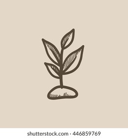 Icono de esbozo de vector de salida aislado en el fondo. Icono de Sprout dibujado a mano. Icono de esbozo de brote para infografía, sitio web o aplicación.