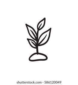 Icono de esbozo de vector de salida aislado en el fondo. Icono de Sprout dibujado a mano. Icono de esbozo de brote para infografía, sitio web o aplicación.