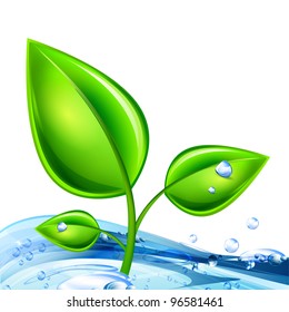 Sprout in the water. Vector illustration. Part of set.