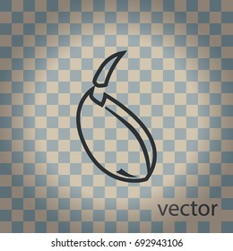 Sprout of wheat, vector icon