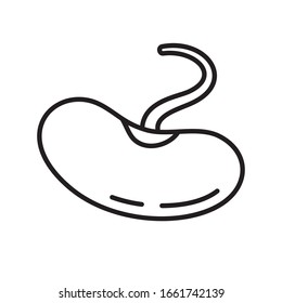 Sprouted bean icon. Linear logo for raw food diet, fresh products, salad and seeding. Black simple illustration. Contour isolated vector image on white background
