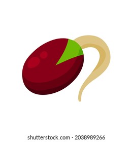 Granos brotados. Granos de soja con raíces. Dieta saludable y súper comida. Ilustración de caricatura plana aislada en blanco. Desintoxicación y antioxidante