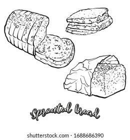 Sprouted bread food sketch separated on white. Vector drawing of Sprouted, usually known in Europe. Food illustration series.