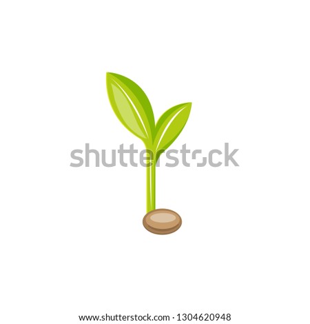 Sprouted grain, bean, seed. Green plant overwhite backfround. Healthy Proper nutrition concept.