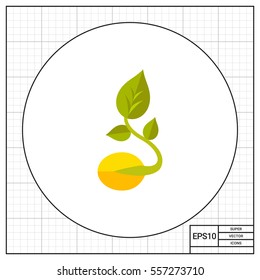 Sprouted grain icon