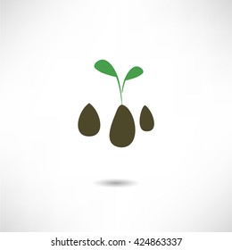 sprouted grains icon 