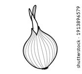 Sprouted long onions linear drawing on white background