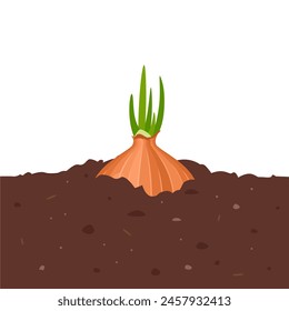 Sprouted onion growing in garden. Vegetable in organic soil. Vector cartoon flat illustration.