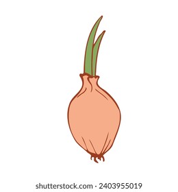 sprouted onion. Hand drawing. Minimalistic vector illustration