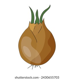 Sprouted onion isolated on white background. Onion in trendy flat style. Vector illustration can used apron print. EPS 10 Editable stroke