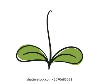 Sprouted plant with rounded leaves. Spring, planting and nature design element. Isolated vector image