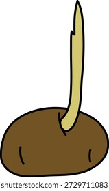 Batata germinada isolada sobre fundo branco