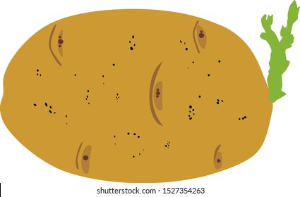 Sprouted potato tuber in flat style