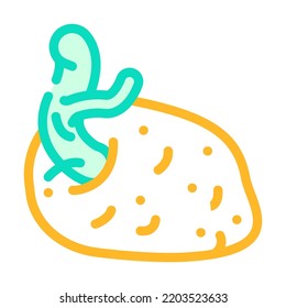 sprouted potatoes color icon vector. sprouted potatoes sign. isolated symbol illustration